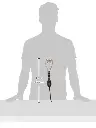 Image-8.webp