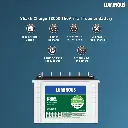61qzeP4trJL._SL1500_.webp