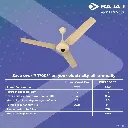 Bajaj Energos 26 Image-4.webp