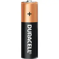 Duracell Alkaline AA Battery