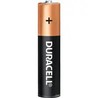 Duracell Alkaline AAA Battery